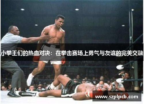 小拳王们的热血对决：在拳击赛场上勇气与友谊的完美交融