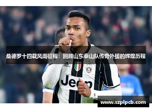 桑德罗十四载风雨征程：回顾山东泰山队传奇外援的辉煌历程