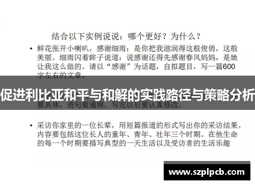 促进利比亚和平与和解的实践路径与策略分析
