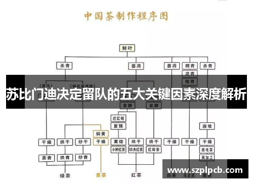 苏比门迪决定留队的五大关键因素深度解析