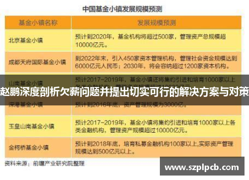 赵鹏深度剖析欠薪问题并提出切实可行的解决方案与对策